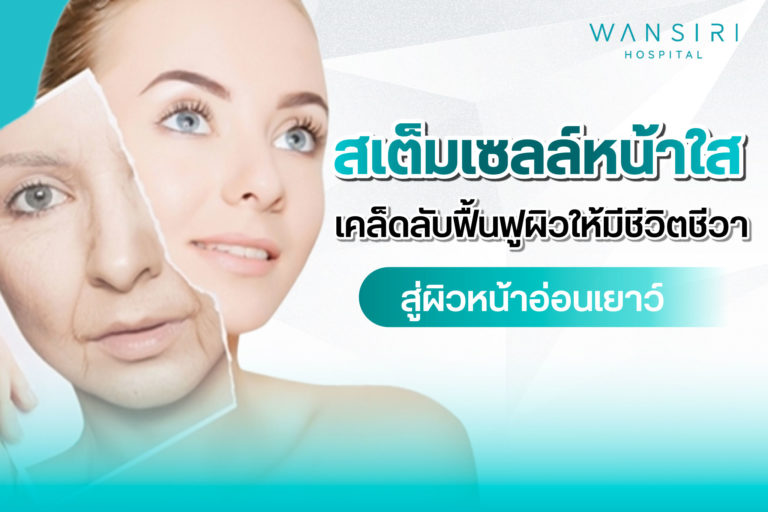 สเต็มเซลล์หน้าใส เคล็ดลับฟื้นฟูผิวให้มีชีวิตชีวา สู่ผิวหน้าอ่อนเยาว์